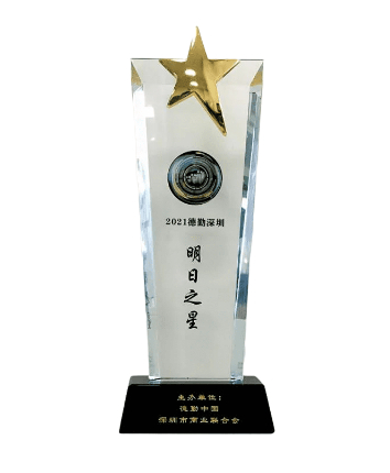 德勤2021深圳明日之星